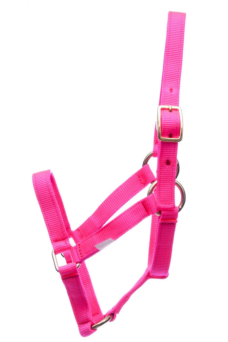 Jeffers Nylon Foal Halters, 00 - 200 lb - Jeffers - Horse Supplies > Horse Tack > Horse Halters