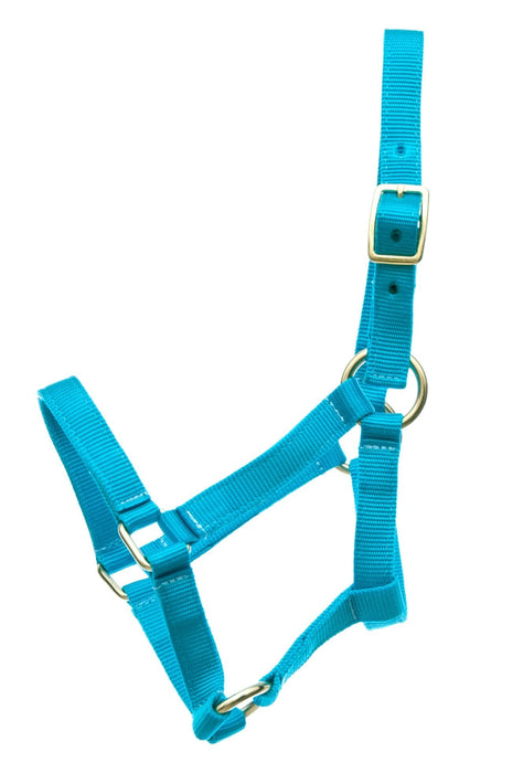 Jeffers Nylon Foal Halters, 00 - 200 lb - Jeffers - Horse Supplies > Horse Tack > Horse Halters