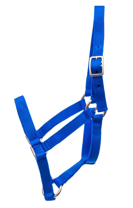 Jeffers Nylon Foal Halters, 00 - 200 lb - Jeffers - Horse Supplies > Horse Tack > Horse Halters