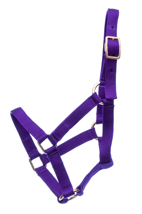 Jeffers Nylon Foal Halters, 00 - 200 lb - Jeffers - Horse Supplies > Horse Tack > Horse Halters