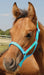 Jeffers Pony Halter, under 300 lb - Jeffers - Horse Supplies > Horse Tack > Horse Halters