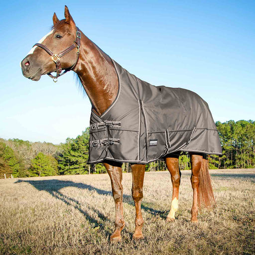 Jeffers Poplar Head Defense 1680 Denier Turnout Blanket with High Neck, 240 Gram, Plymouth Brown - Jeffers - Horse Supplies > Horse Blankets & Sheets