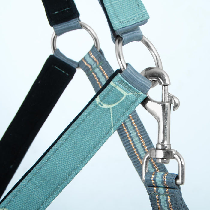 Jeffers Poplar Head Halter & Lead, Full - Jeffers - Horse Supplies > Horse Tack > Horse Halters