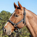 Jeffers Poplar Head Halter & Lead, Full - Jeffers - Horse Supplies > Horse Tack > Horse Halters