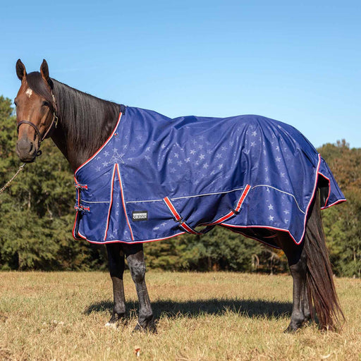 Jeffers Poplar Head Origin 600 Denier Turnout Blanket, 240 Gram, Allegiance - Jeffers - Horse Supplies > Horse Blankets & Sheets