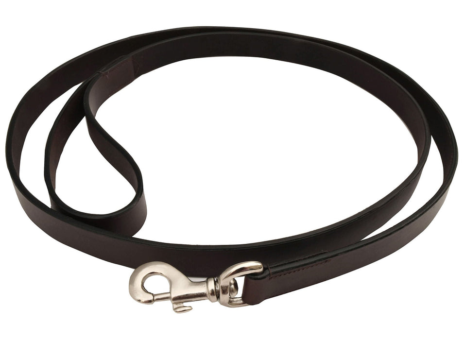 Jeffers Premium Flat Leather Leash, 6' - Jeffers - Dog Supplies > Dog Apparel > Dog Collars, Harnesses, & Leashes