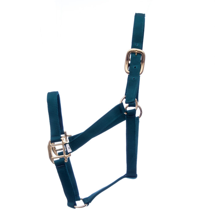 Jeffers Premium Nylon Horse Halter, for Horses 600 - 900 lb (3 - ply, 1') - Jeffers - Horse Supplies > Horse Tack > Horse Halters