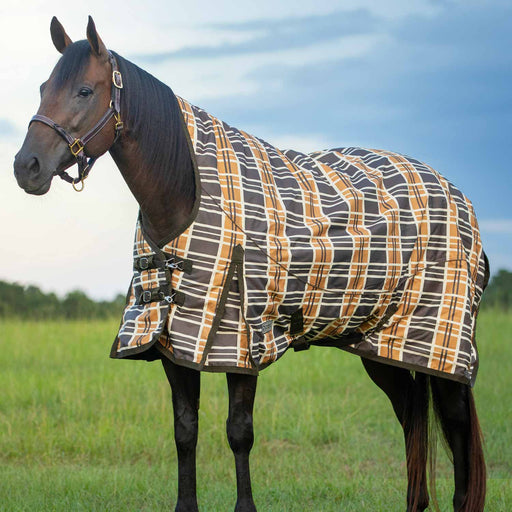 Jeffers Solaris Heavy Extended Neck Horse Blanket - Jeffers - Horse Supplies > Horse Blankets & Sheets