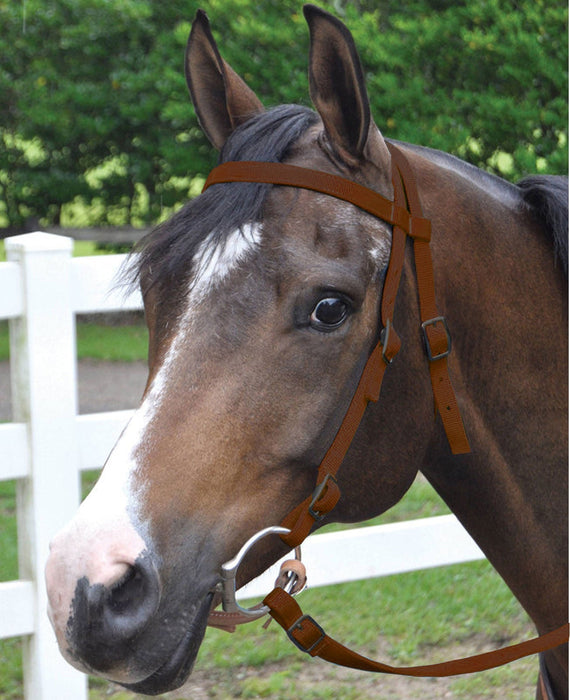 Jeffers Western Nylon Horse Bridle w/ Split Reins - Jeffers - Horse Supplies > Horse Tack > Bridles & Headstalls