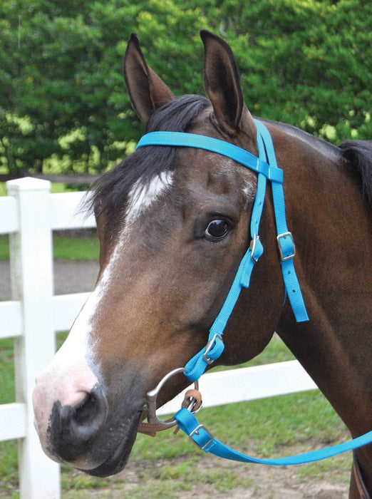 Jeffers Western Nylon Horse Bridle w/ Split Reins - Jeffers - Horse Supplies > Horse Tack > Bridles & Headstalls