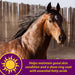 Joint Combo Hoof & Coat - Jeffers - Animal Health & Wellness > Vitamins & Supplements