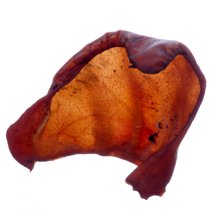 Jones Smoked Pig Ears - Jeffers - Dog Supplies > Dog Treats