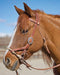 Justin Dunn Side Pull/Bitless Bridle - Jeffers - Horse Supplies > Horse Tack > Bridles & Headstalls