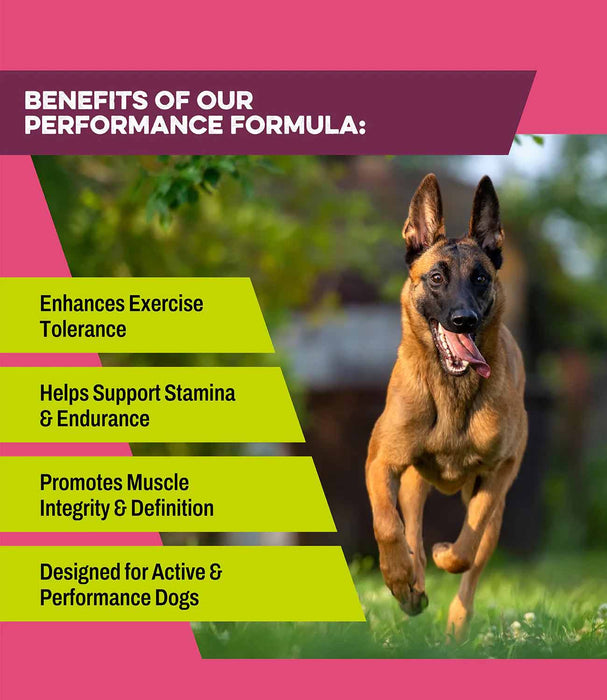 K9 Power Super Fuel - Jeffers - Animal Health & Wellness > Vitamins & Supplements