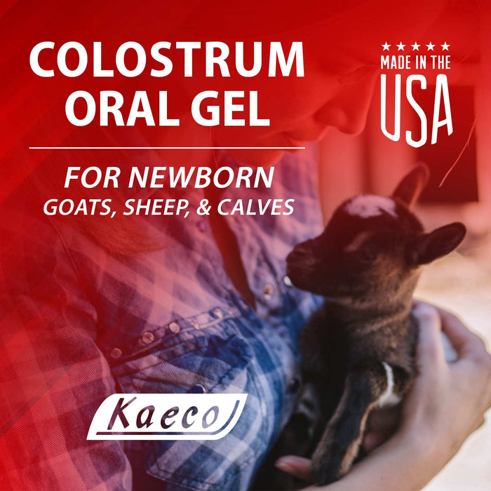 Kaeco Multi - Species Colostrum Supplement Gel, 30 mL - Jeffers - Cattle Supplies > Cattle Supplies