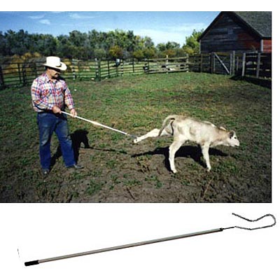 Kalf Katch (and Accessories) - Jeffers - Farm & Ranch Supplies > Sorting Supplies