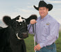 Kirk Stierwalt Black Magic Show Halter - Jeffers - Cattle Supplies > Cattle Supplies