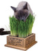 Kitty's Organic Garden Kit (& Refills) - Jeffers - Cat Supplies > Cat Treats