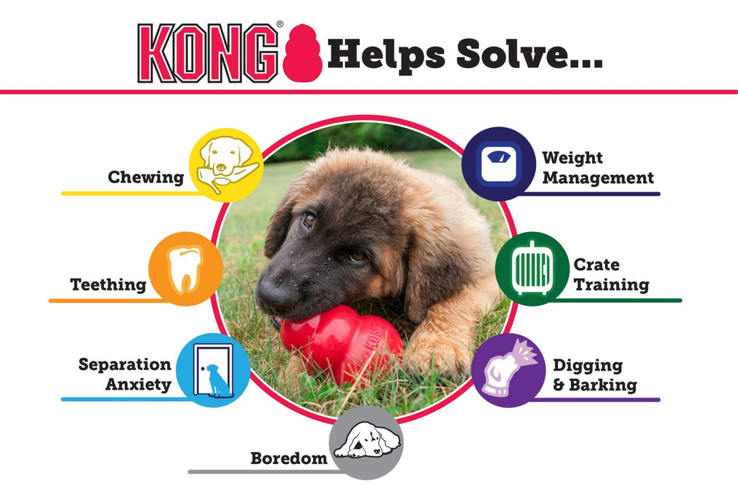 KONG Classic Dog Toy - Jeffers - Dog Supplies > Dog Toys