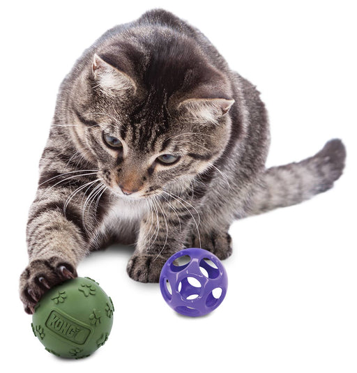 KONG Moon Ball w/Paw Ball Catnip, Purple - Jeffers - Cat Supplies > Cat Toys