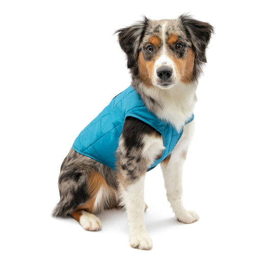 Kurgo Reversible Loft Jacket - Jeffers - Dog Supplies > Dog Apparel