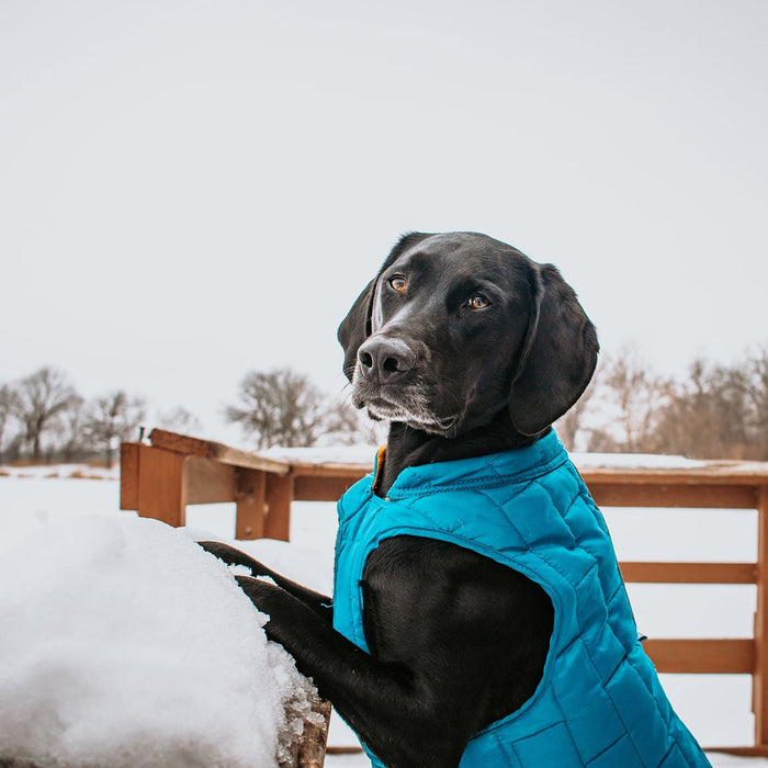 Kurgo Reversible Loft Jacket - Jeffers - Dog Supplies > Dog Apparel