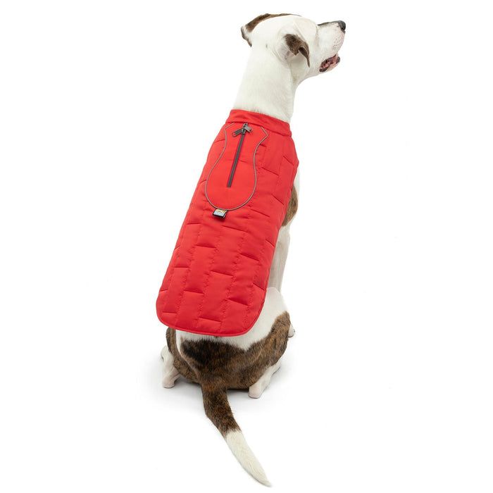 Kurgo Reversible Loft Jacket - Jeffers - Dog Supplies > Dog Apparel