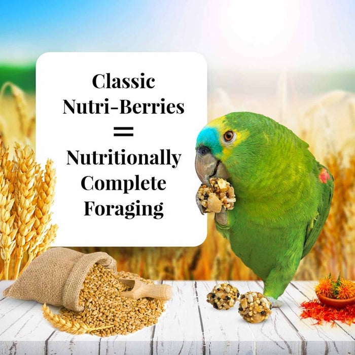 Lafeber Classic Parrot Nutri - Berries, 10 oz bag - Jeffers - Bird Supplies > Bird Supplies