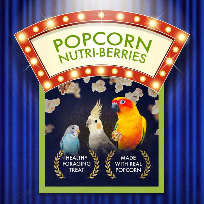 Lafeber Cockatiel Popcorn Nutri - Berries 4 oz bag - Jeffers - Bird Supplies > Bird Supplies