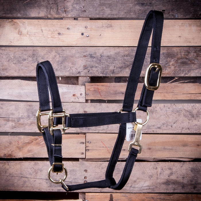 Large Horse Adjustable Halter with Throat Snap (900 - 1200 lb) - Jeffers - Horse Supplies > Horse Tack > Horse Halters