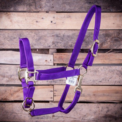 Large Horse Adjustable Halter with Throat Snap (900 - 1200 lb) - Jeffers - Horse Supplies > Horse Tack > Horse Halters