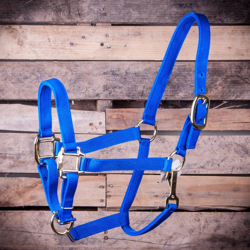 Large Horse Adjustable Halter with Throat Snap (900 - 1200 lb) - Jeffers - Horse Supplies > Horse Tack > Horse Halters