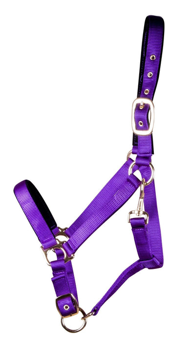 Large Horse Adjustable Nylon Halter, (900 - 1200 lb) - Jeffers - Horse Supplies > Horse Tack > Horse Halters