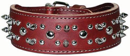 Latigo Spike & Stud Collar, 21' - Jeffers - Dog Supplies > Dog Apparel > Dog Collars, Harnesses, & Leashes