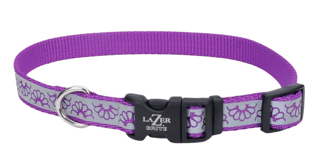 Lazer Brite 1' Dog Collar, 18' - 26' - Jeffers - Dog Supplies > Dog Apparel > Dog Collars, Harnesses, & Leashes