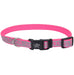 Lazer Brite Dog Collar, 8 - 12' x 3/8' - Jeffers - Dog Supplies > Dog Apparel > Dog Collars, Harnesses, & Leashes