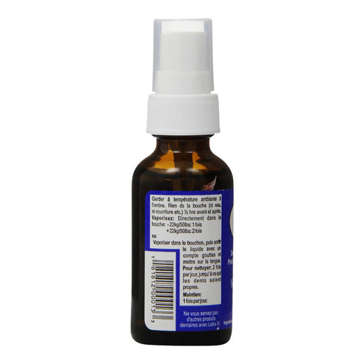 Leba III Pet Dental Spray for Tartar Control, 1 oz - Jeffers - Animal Health & Wellness > Oral Care