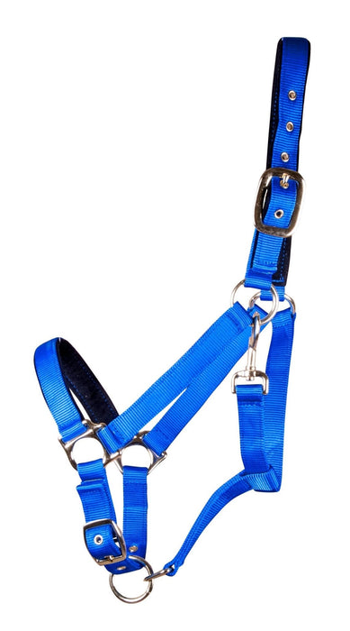 Lined Adjustable Nylon Halter for Medium Horse (600 - 900 lb) - Jeffers - Horse Supplies > Horse Tack > Horse Halters