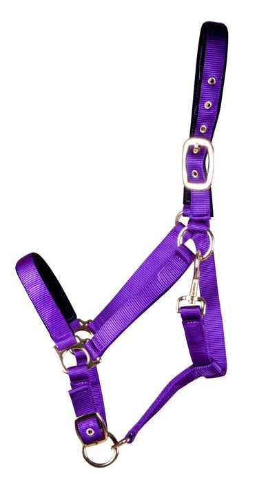 Lined Adjustable Nylon Halter for Medium Horse (600 - 900 lb) - Jeffers - Horse Supplies > Horse Tack > Horse Halters