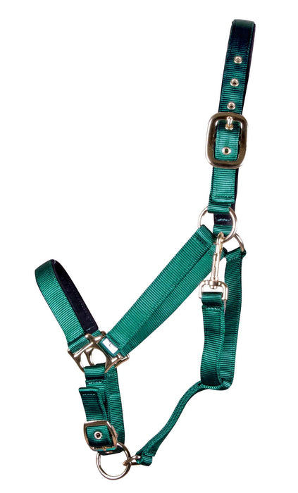 Lined Adjustable Nylon Halter for Medium Horse (600 - 900 lb) - Jeffers - Horse Supplies > Horse Tack > Horse Halters