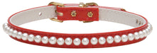 Little Pearl Dog Collars - Jeffers - Dog Supplies > Dog Apparel > Dog Collars, Harnesses, & Leashes