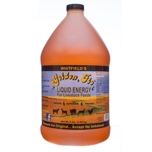 Livestock Golden Flo Liquid Energy, gallon - Jeffers - Animal Health & Wellness > Skin & Coat Care