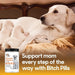 Lots of Love Bitch Pills - Jeffers - Animal Health & Wellness > Breeding Supplies