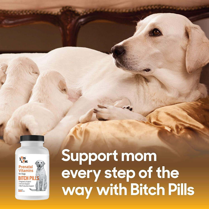 Lots of Love Bitch Pills - Jeffers - Animal Health & Wellness > Breeding Supplies