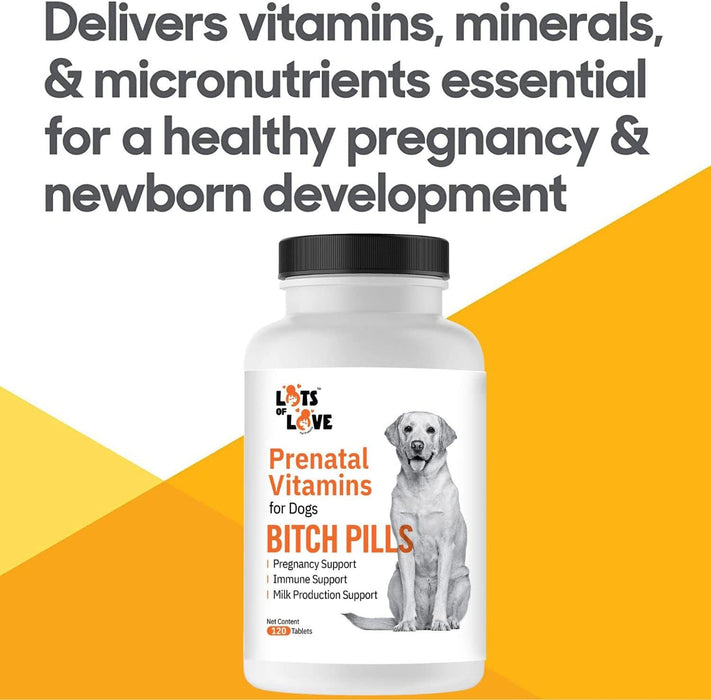 Lots of Love Bitch Pills - Jeffers - Animal Health & Wellness > Breeding Supplies