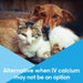 Lots of Love Calcium Now - Jeffers - Animal Health & Wellness > Vitamins & Supplements