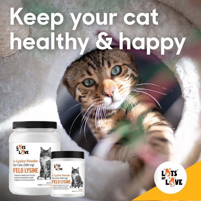 Lots of Love Fel O Lysine Powder for Cats - Jeffers - Animal Health & Wellness > Vitamins & Supplements