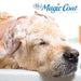 Magic Coat Reduces Shedding Shampoo, 16 oz - Jeffers - Animal & Pet Supplies > Pet Grooming > Pet Shampoo & Conditioner