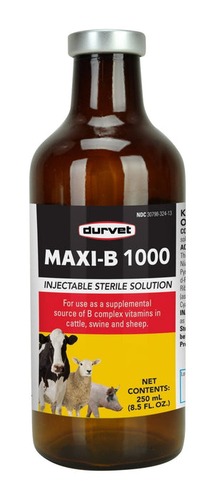 Maxi B 1000, 100 ml - Jeffers - Animal Health & Wellness > Vitamins & Supplements