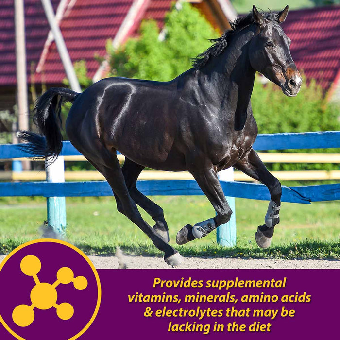 Maxum Crumbles for Horses - Jeffers - Animal Health & Wellness > Vitamins & Supplements